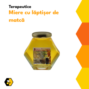 miere-laptisor-matca-albina-lucratoare1